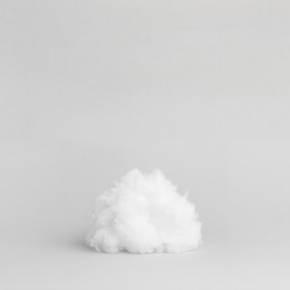 RestCloud™ Vandpude